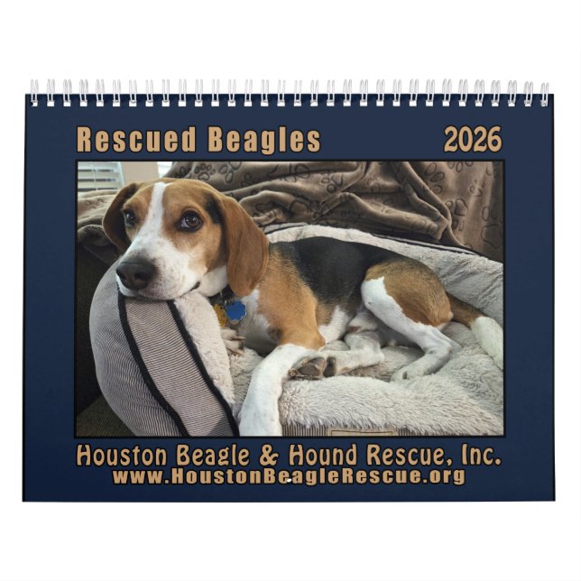 Calendrier Rescued Beagles 2026 Wall Calendar (Protection)