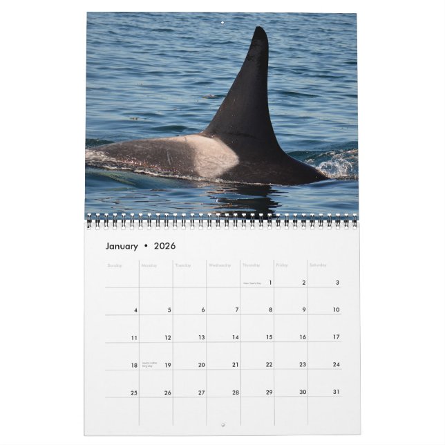 Calendrier résident du sud d'épaulard 2015 (Jan 2026)