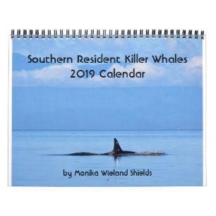 Calendrier résident du sud d'épaulard 2019