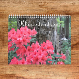 Calendrier Rhododendrons colorés Photographie florale