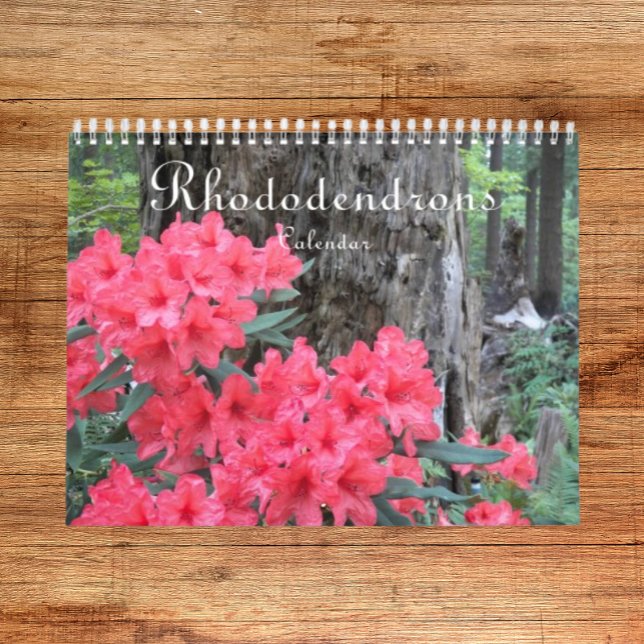 Calendrier Rhododendrons colorés Photographie florale (In Situ)