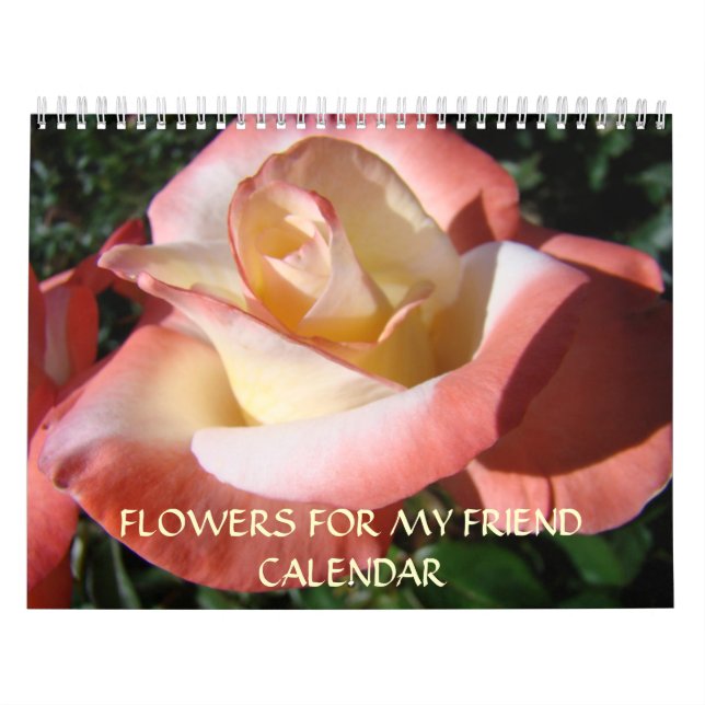 Calendrier ROSE CALENDAR Cadeaux AMIS Roses de Noël (Protection)