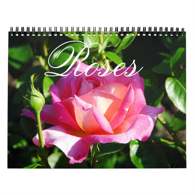 Calendrier Rose du jardin anglais (Protection)