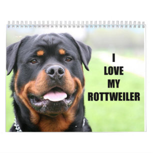 Calendrier Rottweiler
