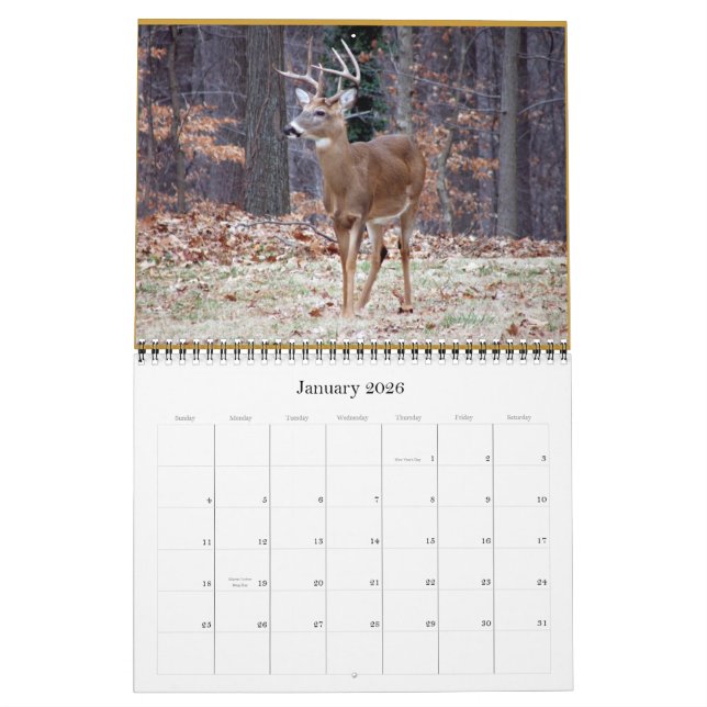 Calendrier rSEANd - nature (Jan 2026)