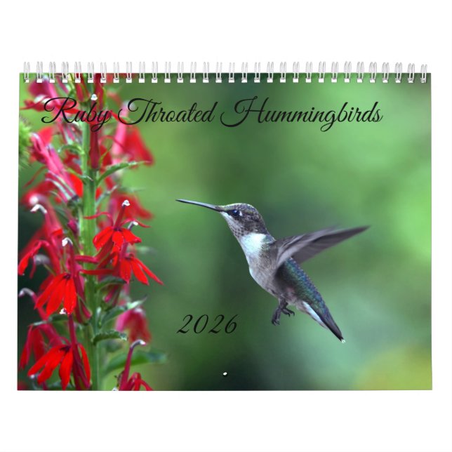 Calendrier Ruby Throated Hummingbird 2026  Calendar (Protection)