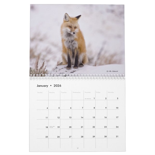 Calendrier rusé de mesdames (et messieurs) (Jan 2026)