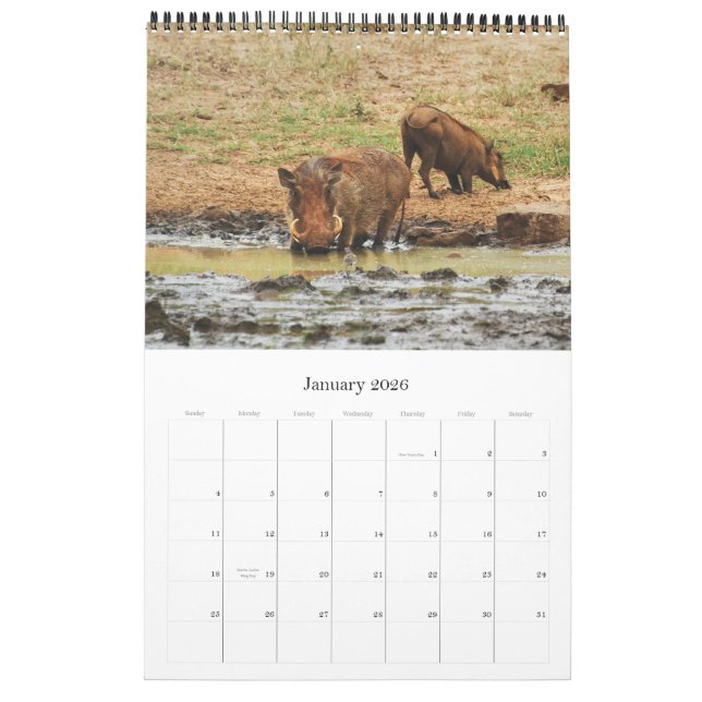 Calendrier Safari 2012 de l'Afrique d'animaux sauvages (Jan 2026)