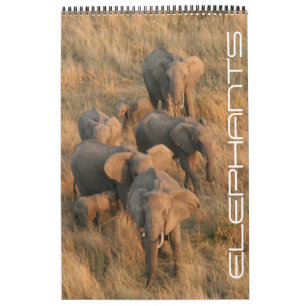 Calendrier safari d'éléphants