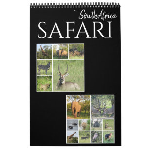 Calendrier safari sud-africain 2026