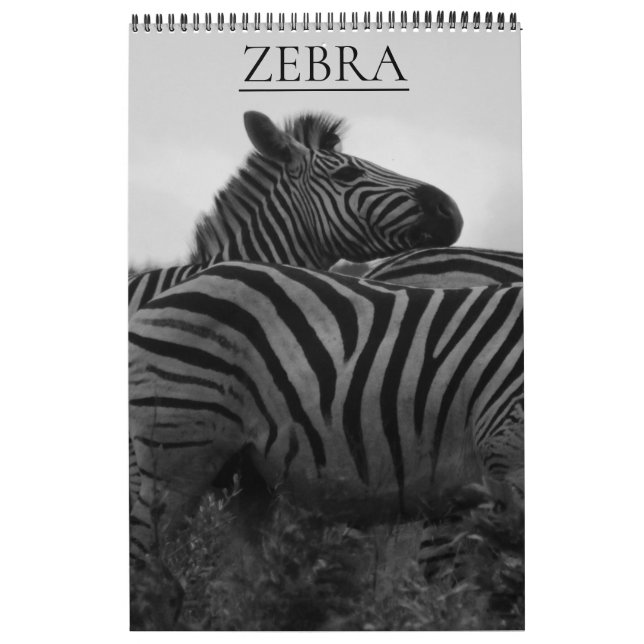 Calendrier safari zèbre (Protection)