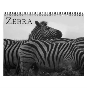 Calendrier safari zèbre 2027