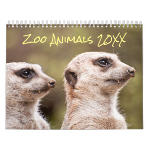 Calendrier Safari Zoo Animaux Photographie