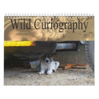 Calendrier sauvage de chien de Curiography