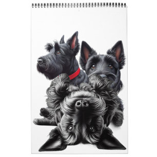 Calendrier SCOTTISH TERRIER en