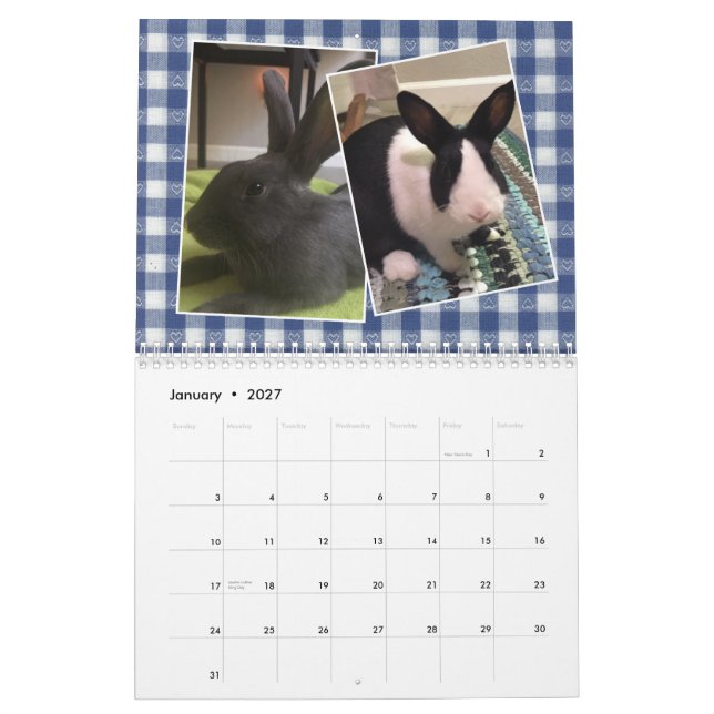 Calendrier Secourt et éducation des lapins 2020 (Jan 2027)