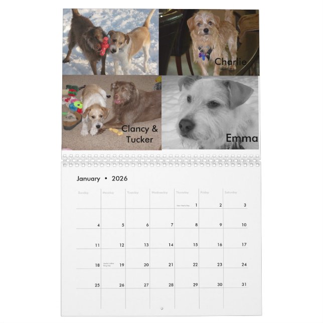 Calendrier Secourt Fluffy Dog (Jan 2026)