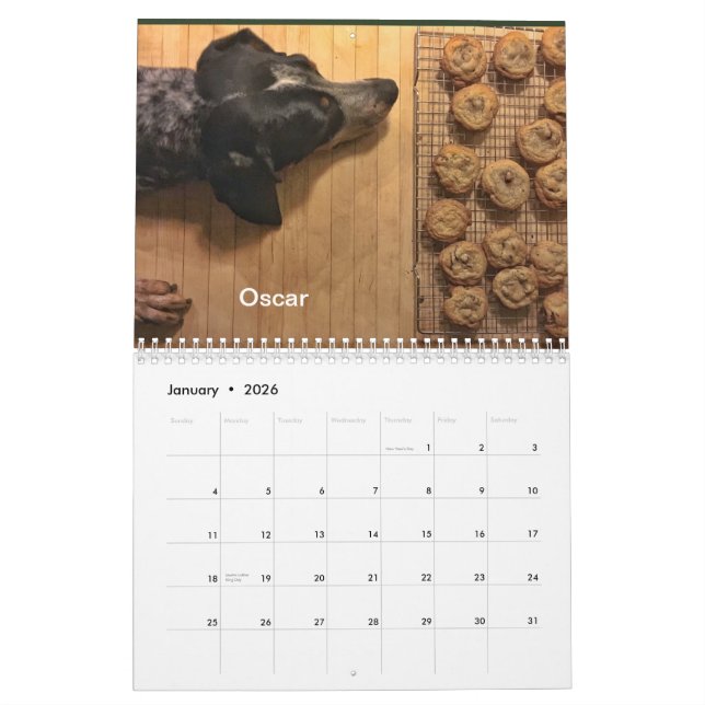Calendrier Secteur 2019/2020 de chien (Jan 2026)