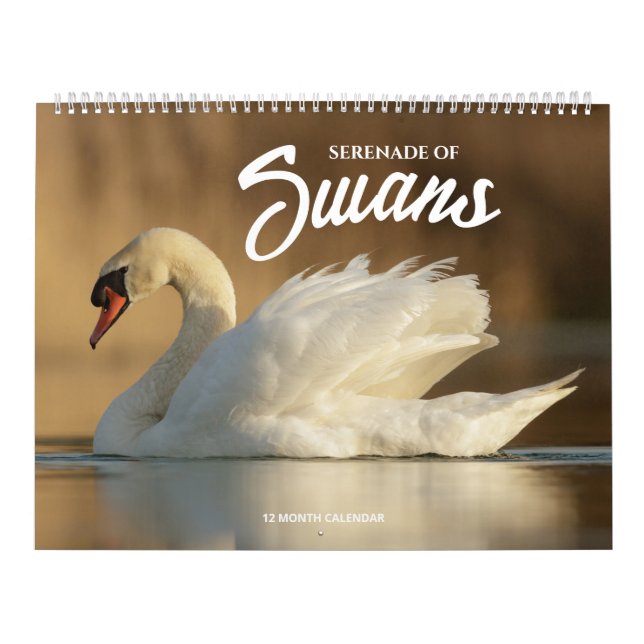 Calendrier Sérénade des cygnes (Protection)