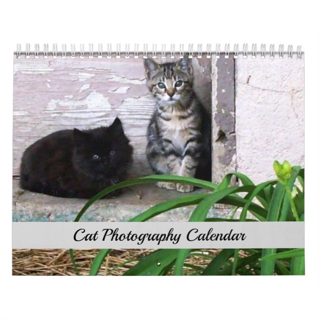 Calendrier Sgolis Original Cat Photographie (Protection)