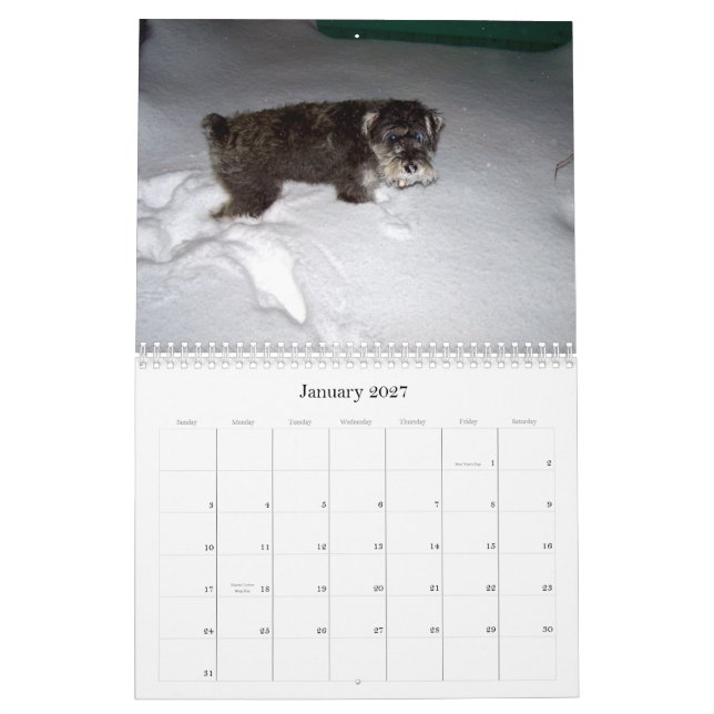 Calendrier sHAMUS doux par le dayZ (Jan 2027)