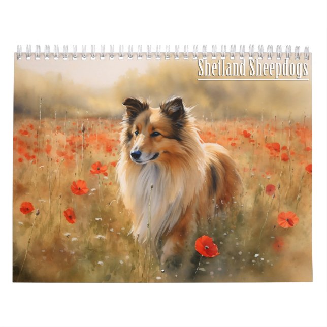 Calendrier Shetland Sheepdog, chaque année (Protection)