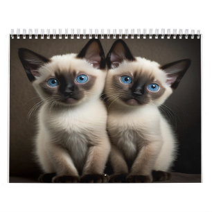 Calendrier Siamese Kitten Pour Amoureux de les cha