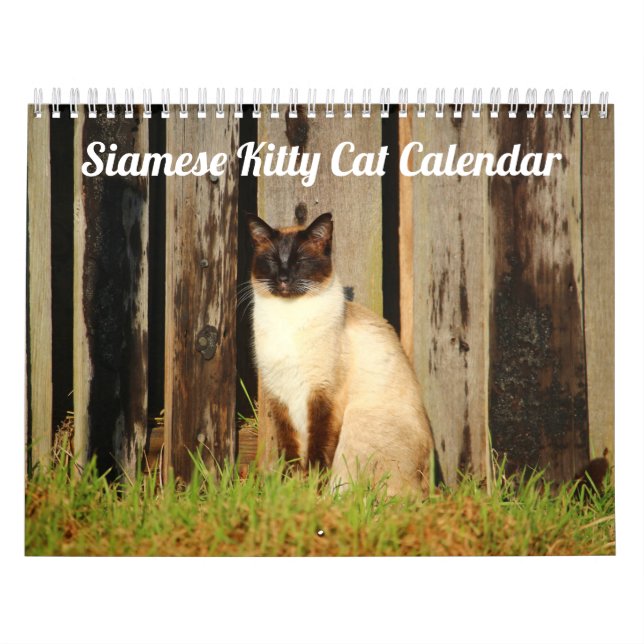 Calendrier Siamese Kitty Cat Cute 2021 (Protection)
