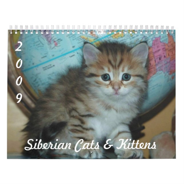 Calendrier sibérien 2009 de CHATS (Protection)