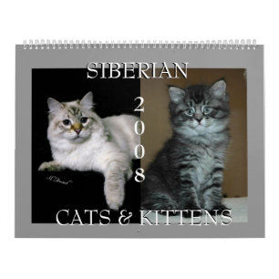 Calendrier sibérien 2009 de chats