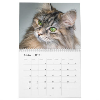 Calendrier Sibérien des chats 2019
