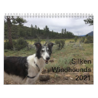 Silken Windhounds 2021 Adultes 1