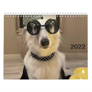 Calendrier Silken Windhounds 2022 (habillé/sot)