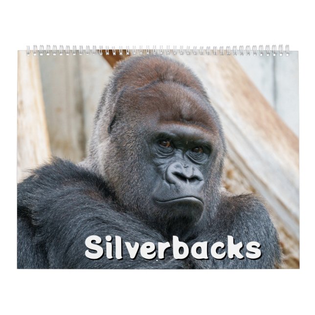 Calendrier Silverback 2026 (Protection)