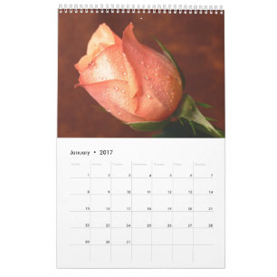 Calendrier simple rose 2017