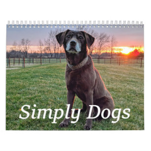 Calendrier Simply Dogs