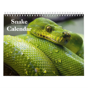 Calendrier Snake Calendar 2025