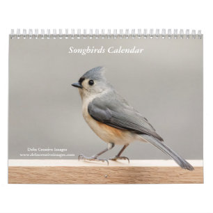Calendrier Songbirds 2025