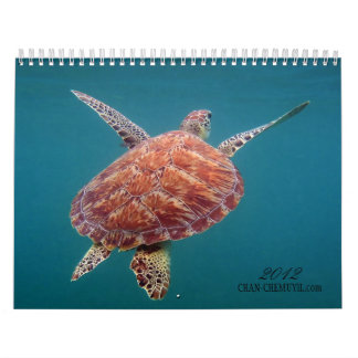 Calendrier sous-marin de Chan Chemuyil