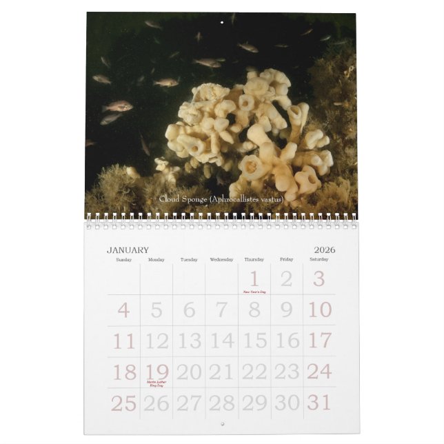 Calendrier sous-marin des voyages 2010 (Jan 2026)