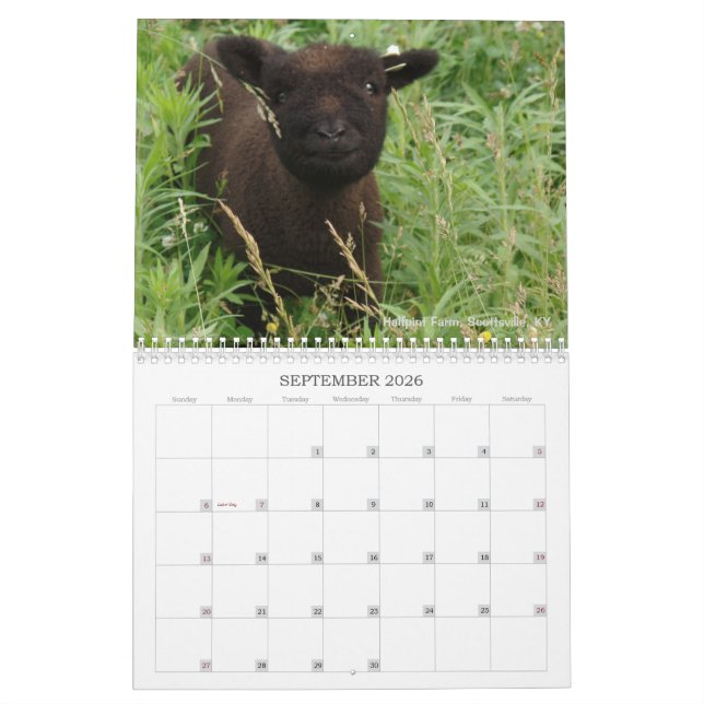 Calendrier Southdown des moutons 2017 NABSSAR de (Sep 2026)