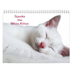 CALENDRIER SPOOKS LE CHATON BLANC - CALLENDER