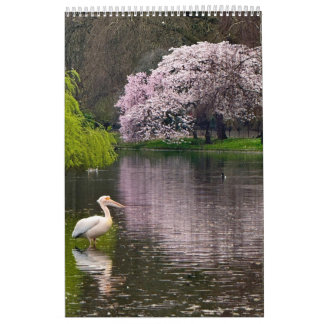 Calendrier St James's Park, London 