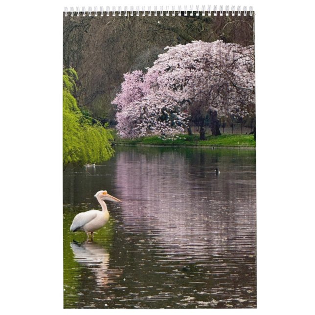 Calendrier St James's Park, London  (Protection)