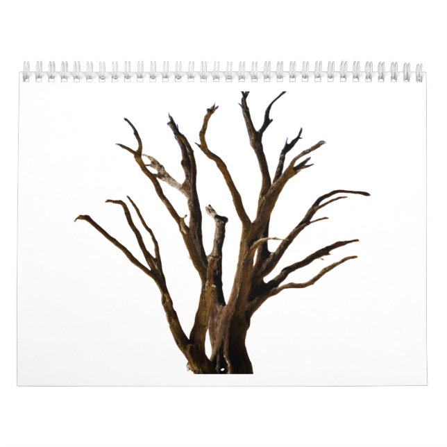 Calendrier Structure de l'arborescence (Protection)