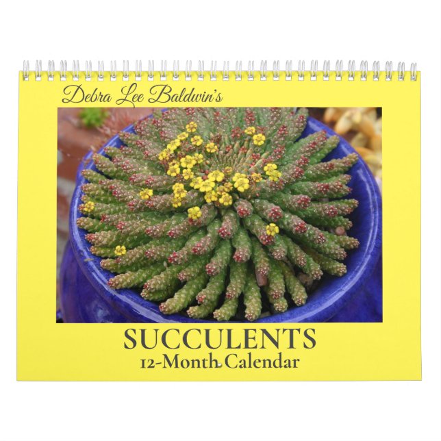 Calendrier Succulents de Debra Lee Baldwin-2 12 mois (Protection)
