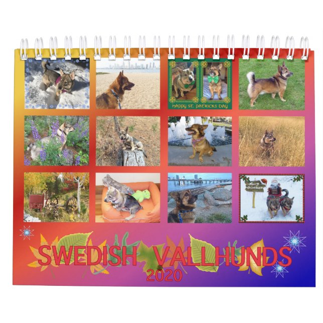 Calendrier suédois Vallhund 2020 (Dos)