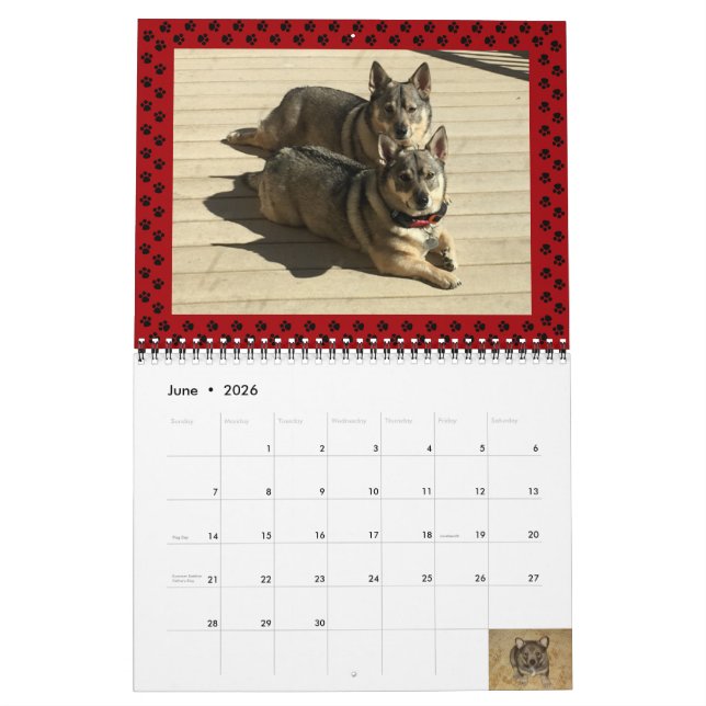 Calendrier suédois Vallhund 2024* (Jun 2026)