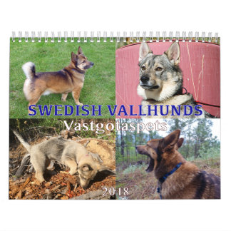Calendrier Suédois Vallhund, Vastgotaspets, Callendar 2018
