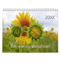 Sunflower Photographie Citations Sunny